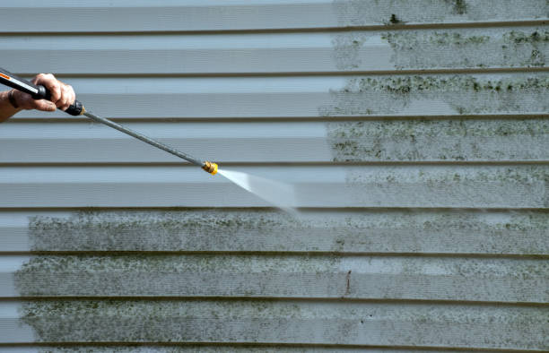 Best Certified Mold Removal  in Adrian, MO