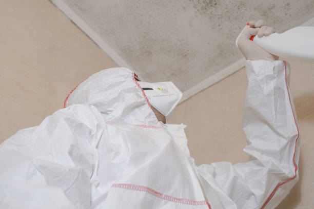 Crawl Space Mold Removal in Adrian, MO